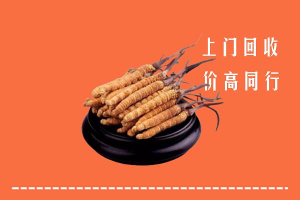 高价求购：林甸县回收散虫草