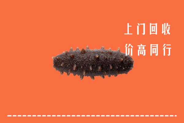 林甸县高价回收海参