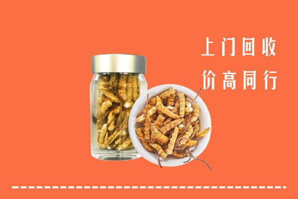 林甸县回收冬虫夏草